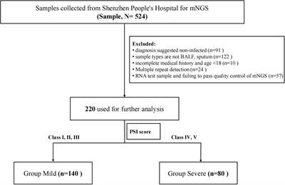 Characteristics of the pulmonary microbiota in patients with mild and severe pulmonary infection